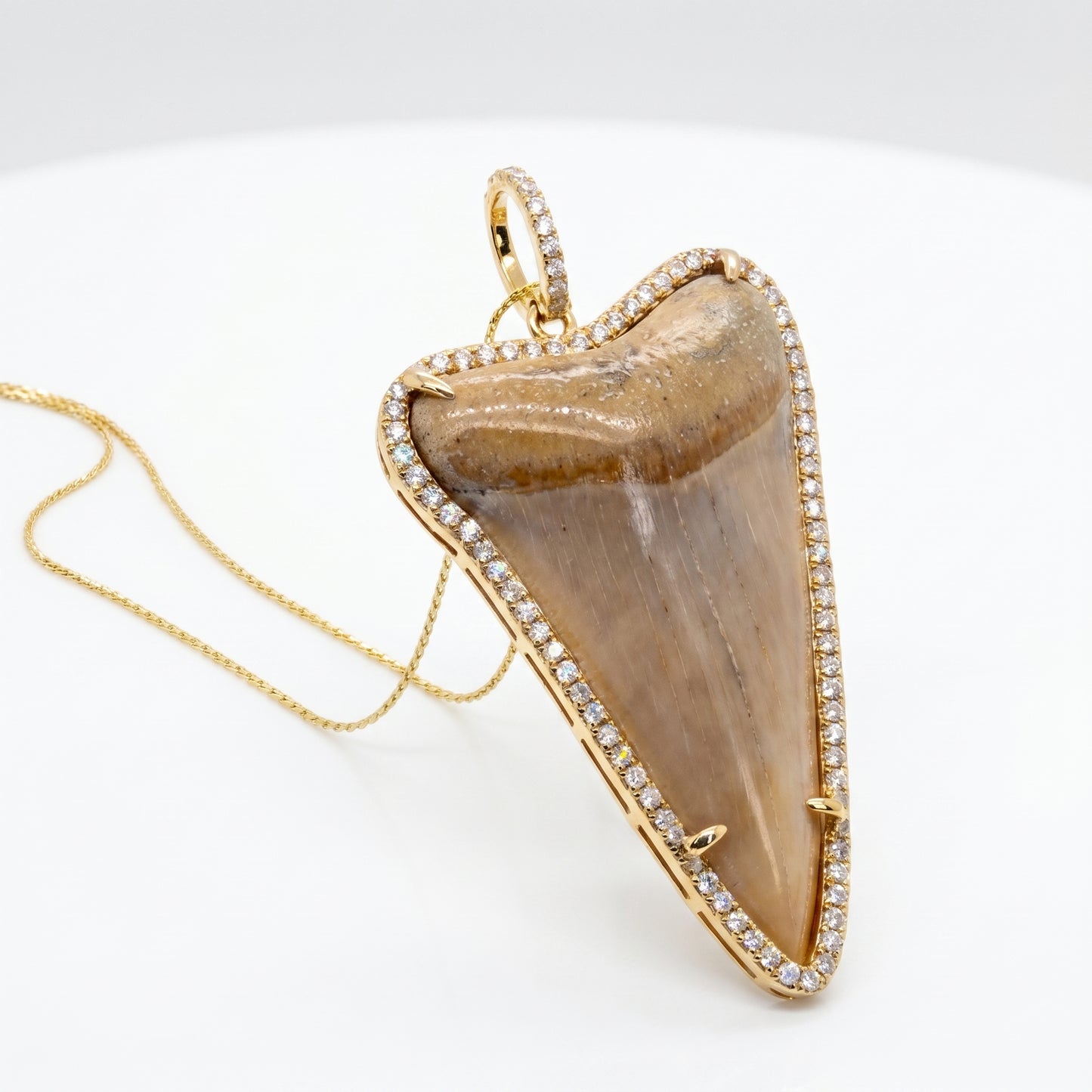 18K Yellow Gold Megalodon Shark Tooth Diamond Halo Pendant