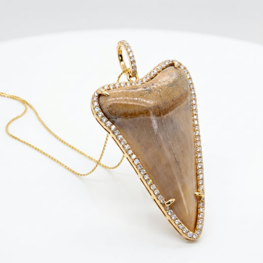 18K Yellow Gold Megalodon Shark Tooth Diamond Halo Pendant