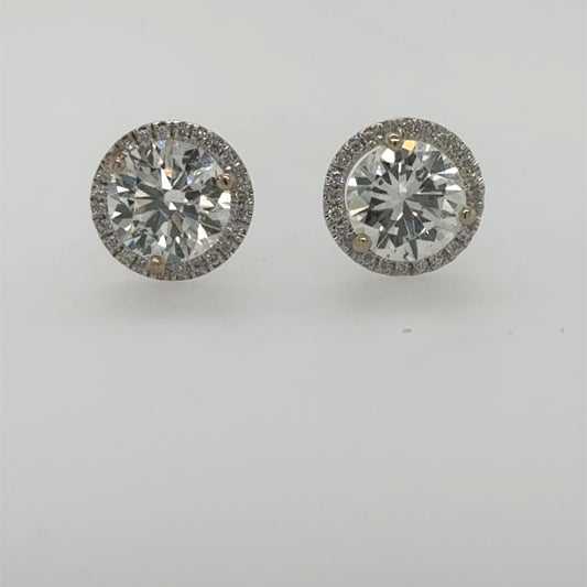 Round diamond stud earrings in white gold with halo and three-prong settings.