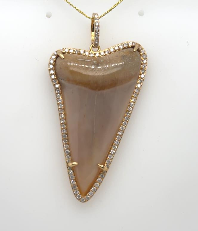 Polished shark tooth pendant in 18K yellow gold with diamond halo and bail.
