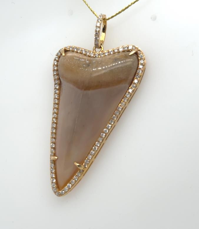 18K yellow gold pendant with polished shark tooth and diamond halo bail.