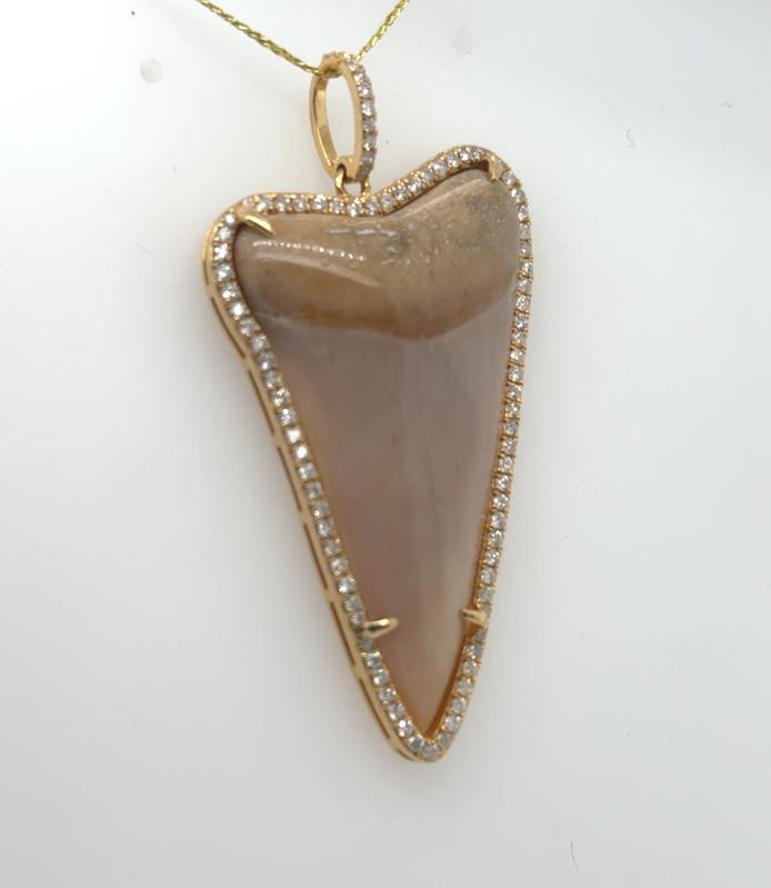 18K yellow gold pendant featuring polished shark tooth framed by diamond halo.