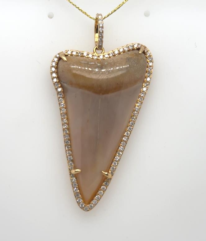 18K Yellow Gold Megaladon Sharks Tooth & Diamond Pendant