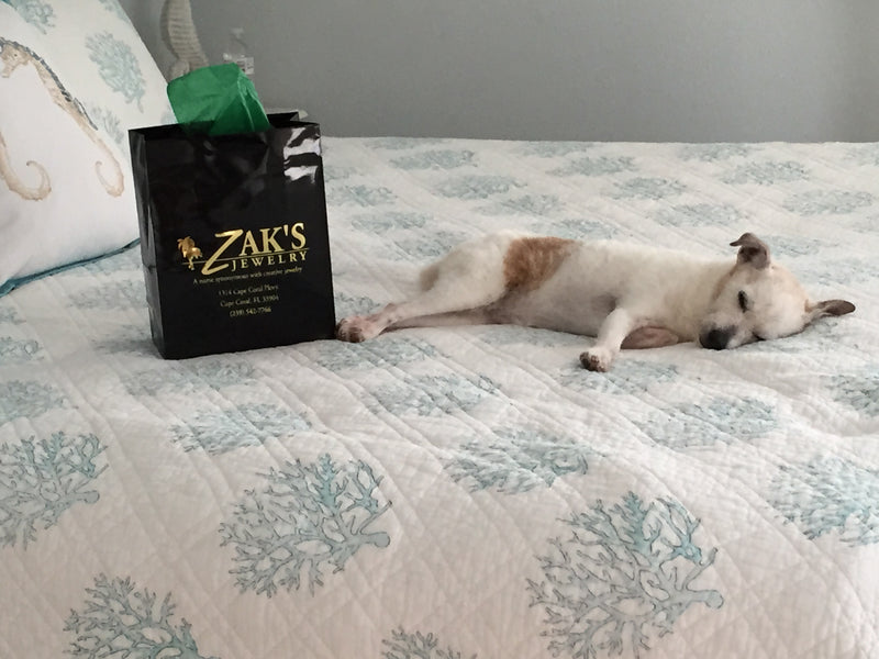 Become another happy Zak's customer