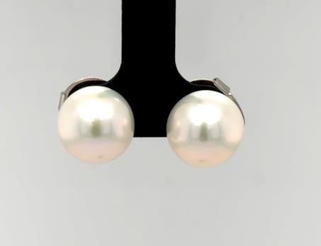 Sterling silver stud earrings with round white freshwater cultured Ming pearls.